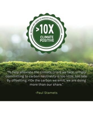 Chaga Powder - Immune System Support Supplement - Chaga Mushroom Powder for Antioxidant Activity Support - Dietary Mushroom Supplement - 3.5 oz (66 Servings)