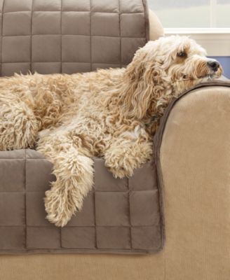 Sure Fit Velvet Deluxe Pet Chair Slipcover with Sanitize Odor Release