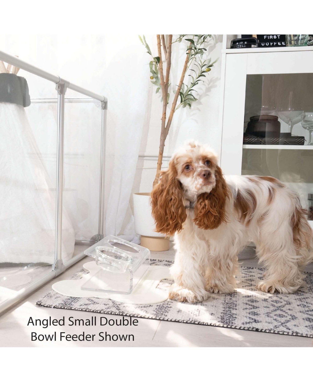 Clearly Loved Pets Modern Acrylic Glass Bowl Feeders, Standard Style, Single Bowl