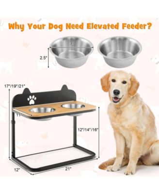 Dog Bowl Stand with 2 Stainless Steel Food Water Bowls