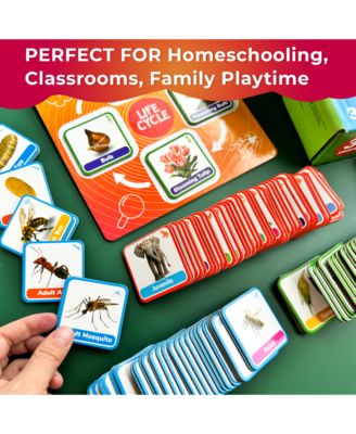 Life Cycle Kit Toy Montessori - Flash Cards Science Activities