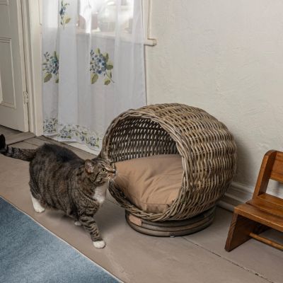 Socket Dome 19.5" x 17" Bohemian Handwoven Rattan Pet Bed with Machine-Washable Cushion, Kubu Gray
