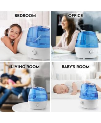 0.66-Gallon, 2.5 Liter Cool Mist Ultrasonic Humidifier for Home