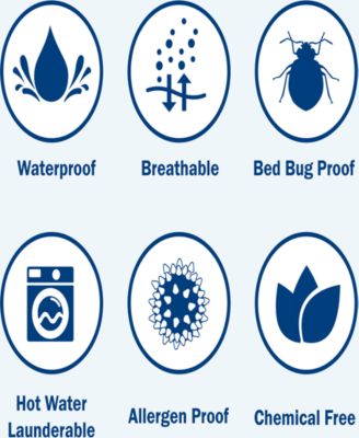 Pro Zippered Box Spring Encasement, Queen