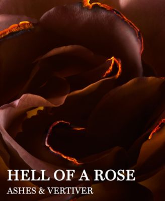 Absolue Hell Of A Rose Eau de Parfum
