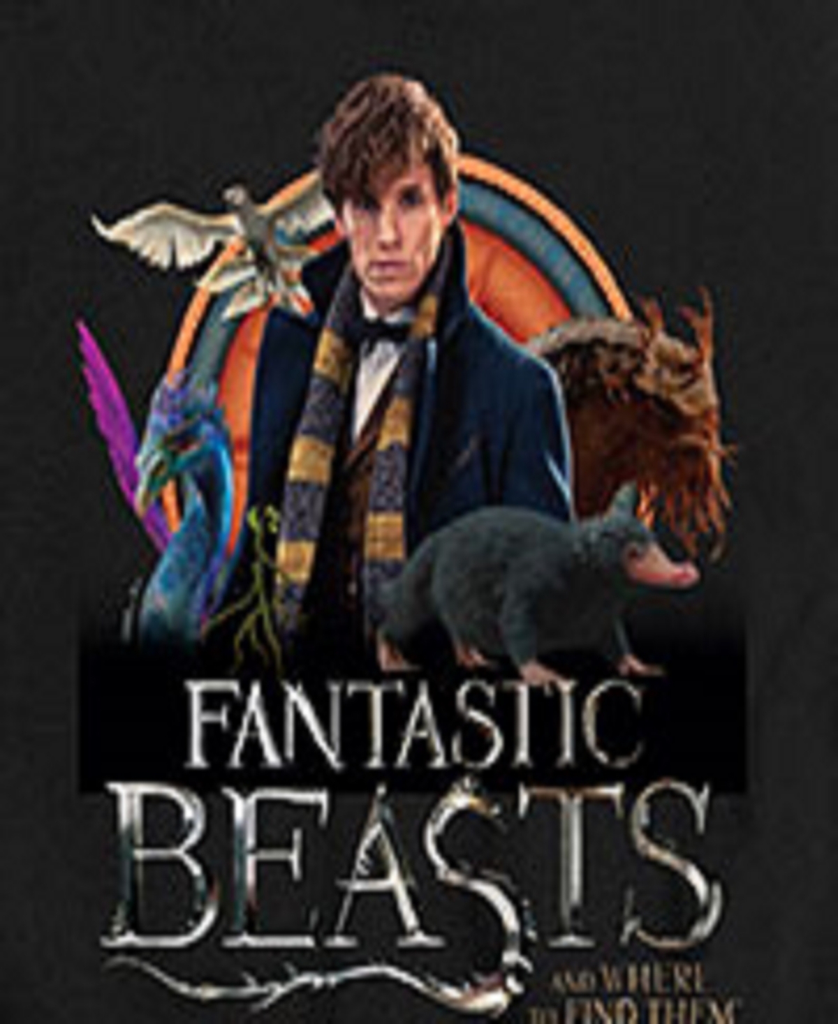 Harry Potter Big Boys Fantastic Beasts Graphic Tee