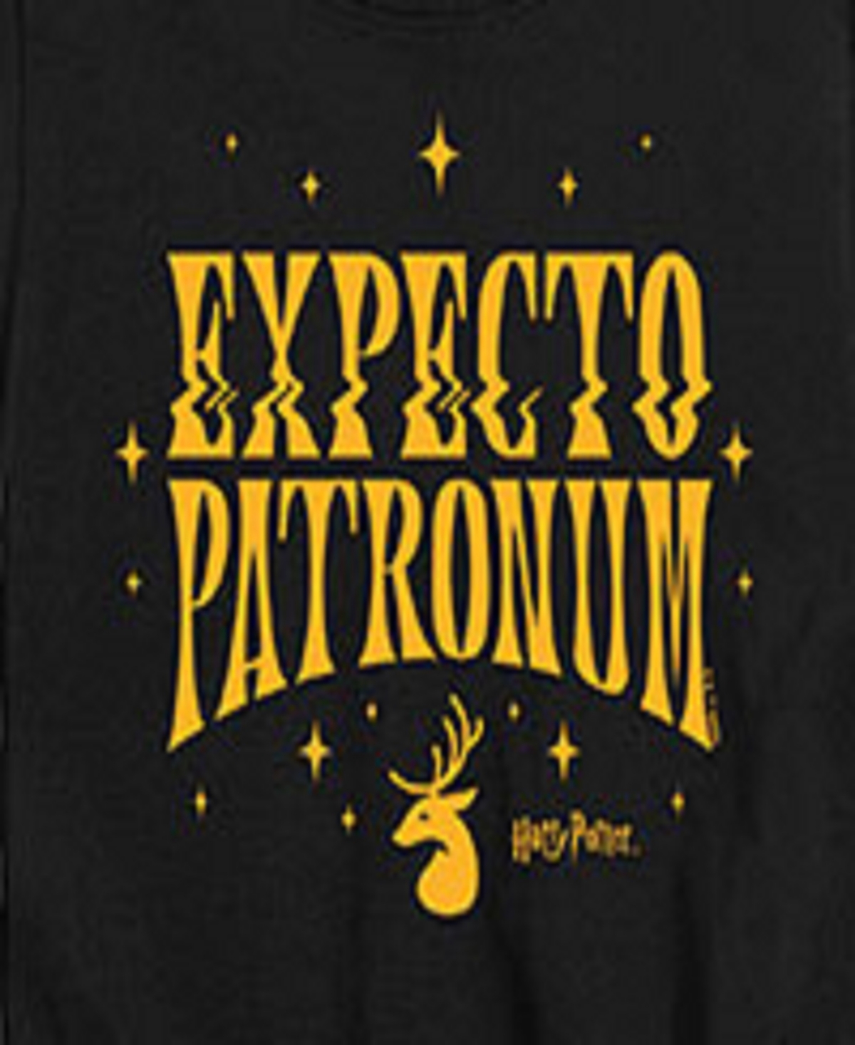 Hybrid Big Boys Harry Potter Expecto Patronum Graphic Tee In Black