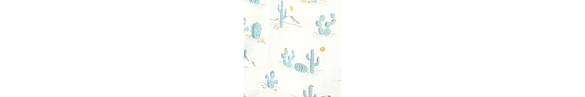 Hudson Baby Baby Boys Hudson Long Sleeve Cotton Jersey Sleeping Bag, Sack, Blanket, 0-6 Months - Desert cactus