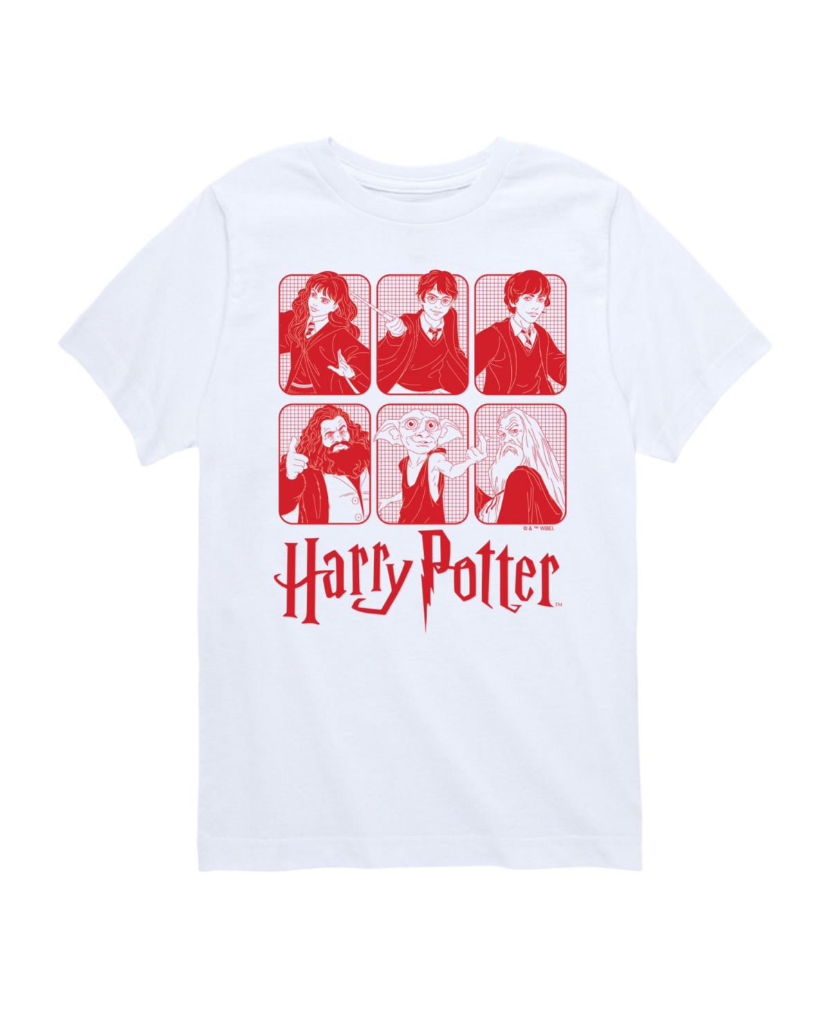 Hybrid Big Boys Harry Potter Graphic Tee In White