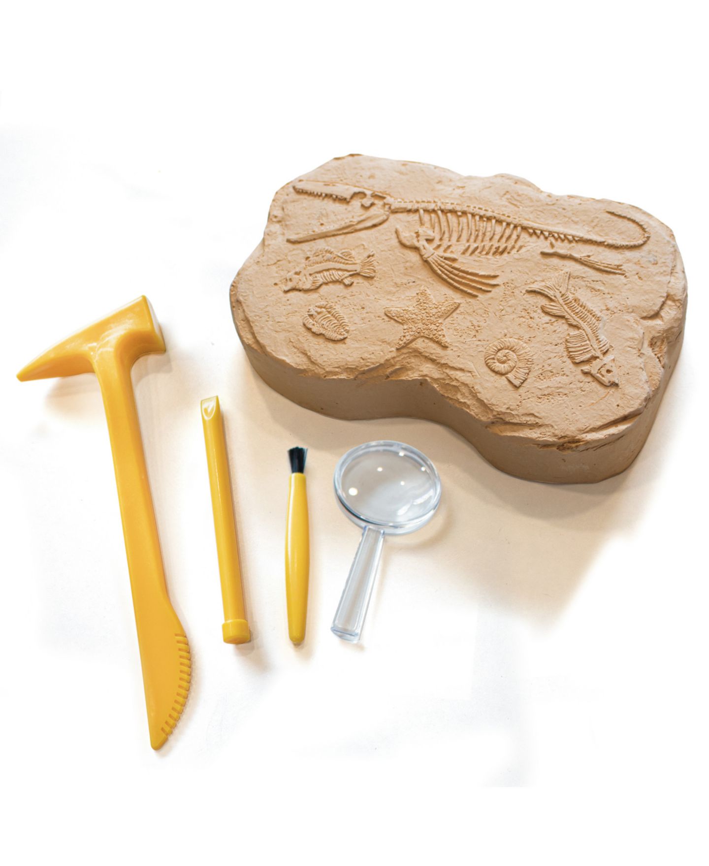 Детские игрушки Educational Insights GeoSafari Jr. Fossil Excavation Kit — фото 2