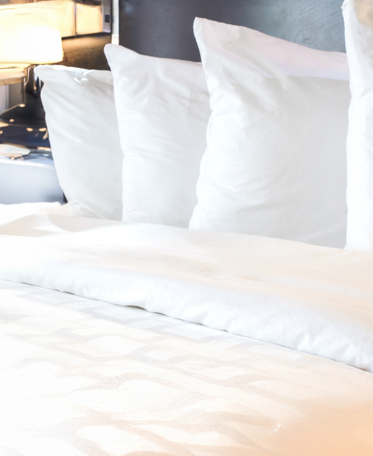 Cleanbrands Pro Zippered 2-pack Pillow Protector, King In White