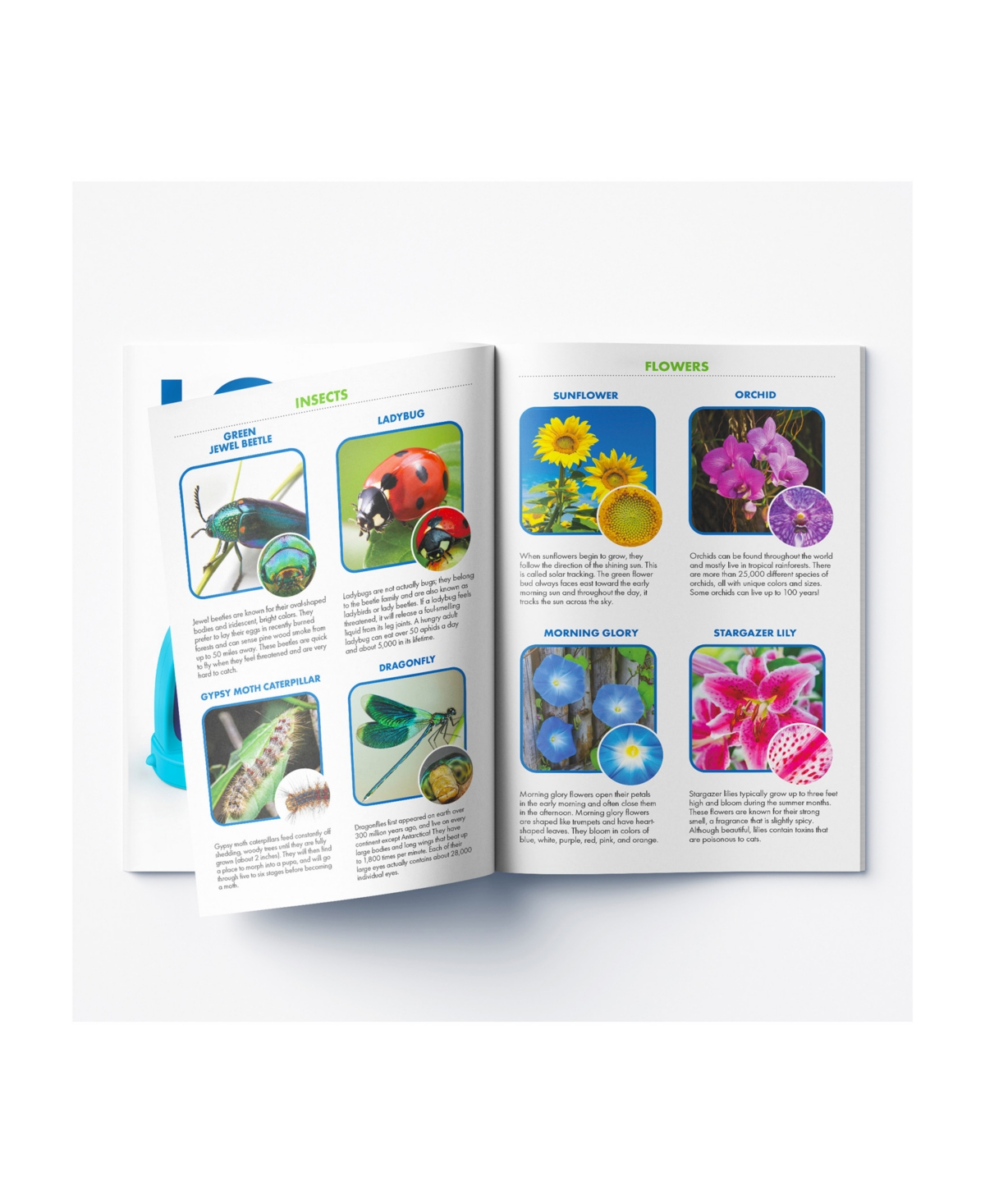 Educational Insights Geosafari Jr. Kidscope In Multi