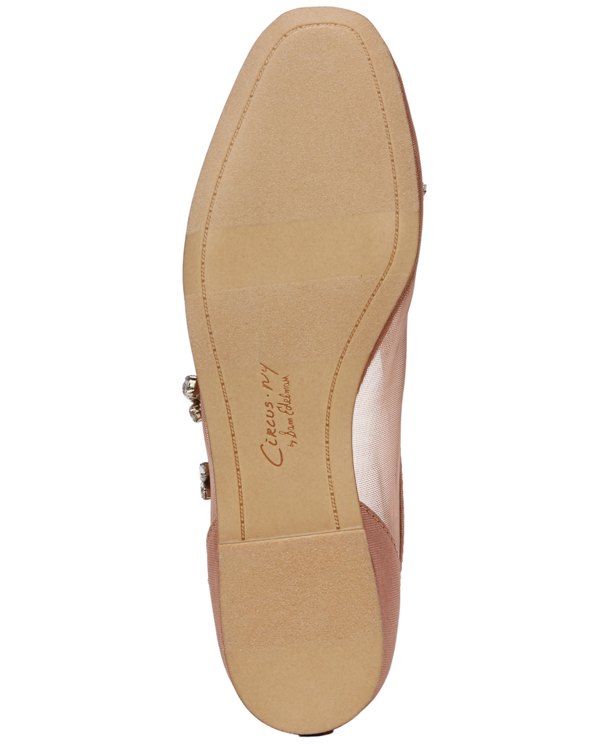 Circus Ny By Sam Edelman Tina Ballet Flat In Cinnamon Sugar