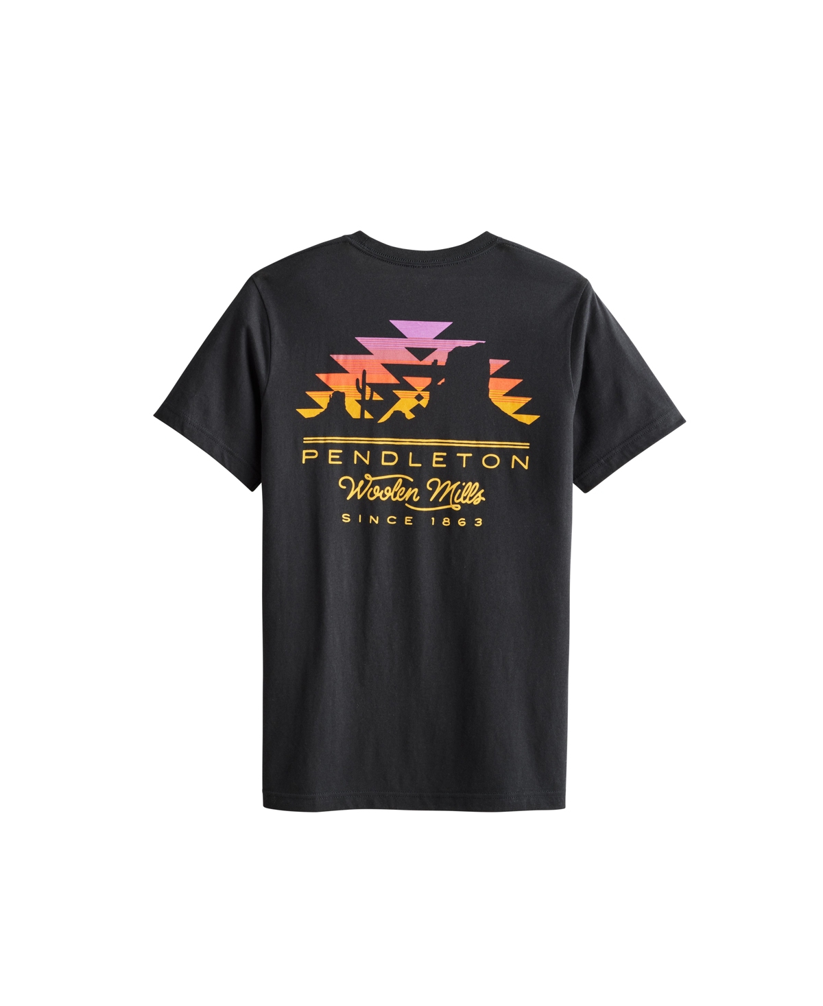 Pendleton Men's Heritage with Graphics T-Shirt -Multi