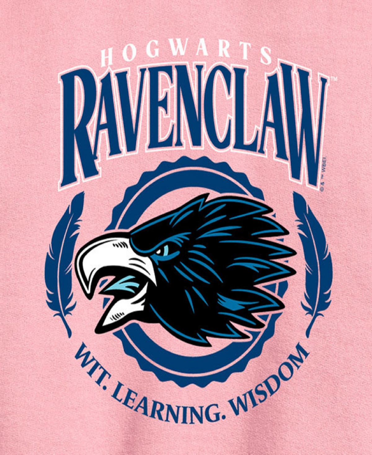 Shop Harry Potter Big Girls Ravenclaw Graphic Raglan Top In Pink
