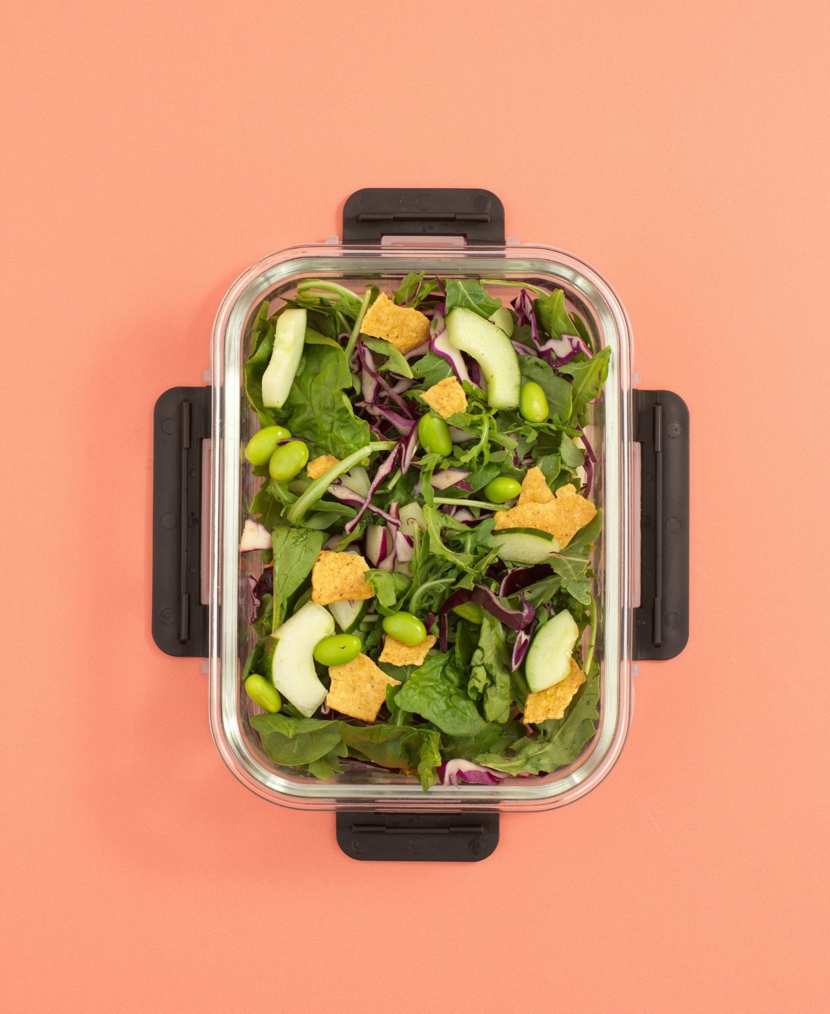 JOYJOLT 2-SECTIONAL SET OF 5 FOOD PREP STORAGE CONTAINERS 