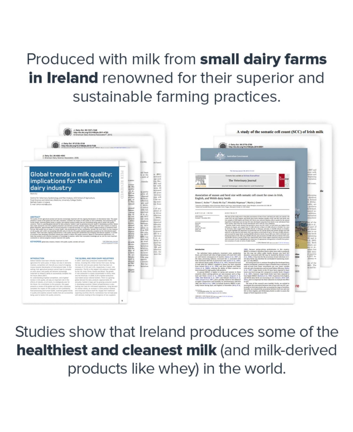 Legion Athletics Legion Whey+ Natural Whey Protein Powder -- Coconut cream