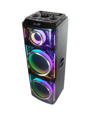 IQ Sound Cyber Flex 2 x 12 inch Wireless Party Speaker