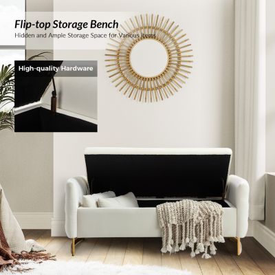 Christoph Upholstered Flip Top Storage Bench with Metal Legs