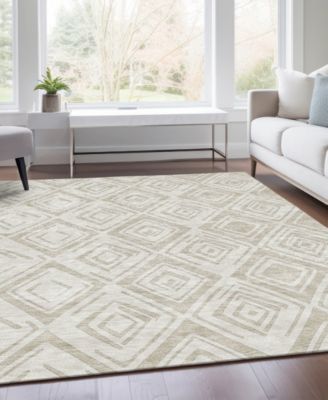 Chantille Machine Washable ACN737 2'6"x3'10" Area Rug