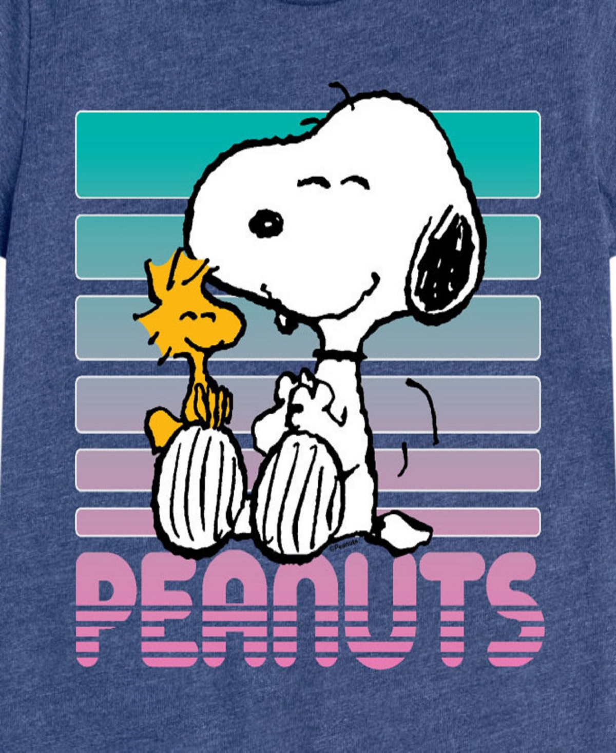 Peanuts Big Girls Snoopy Graphic Short Sleeve Tee In Blue