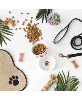 Rainbow Paw Pet Bowl Set/2