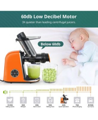 Slow Masticating Juicer Cold Press Quiet 150W