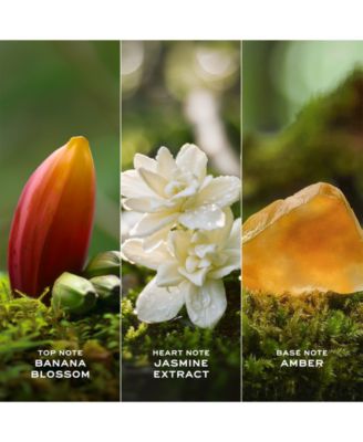 Daisy Wild Eau So Intense Eau de Parfum, 3.3 oz.