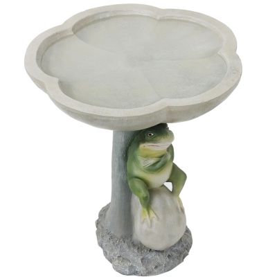Brooding Frog on a Stone 22-Inch H Polyresin Bird Bath