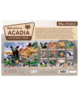Acadia National Park 48 Piece Tray Puzzle