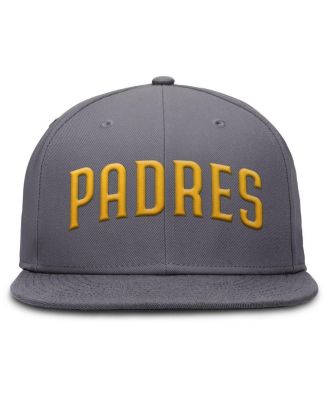 Men's Gray San Diego Padres Performance True Fitted Hat