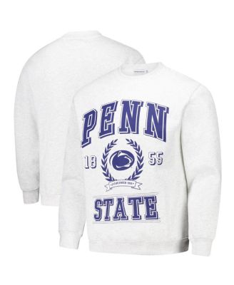 Men's and Women's Ash Penn State Nittany Lions Vintage Crest Pullover Sweatshirt