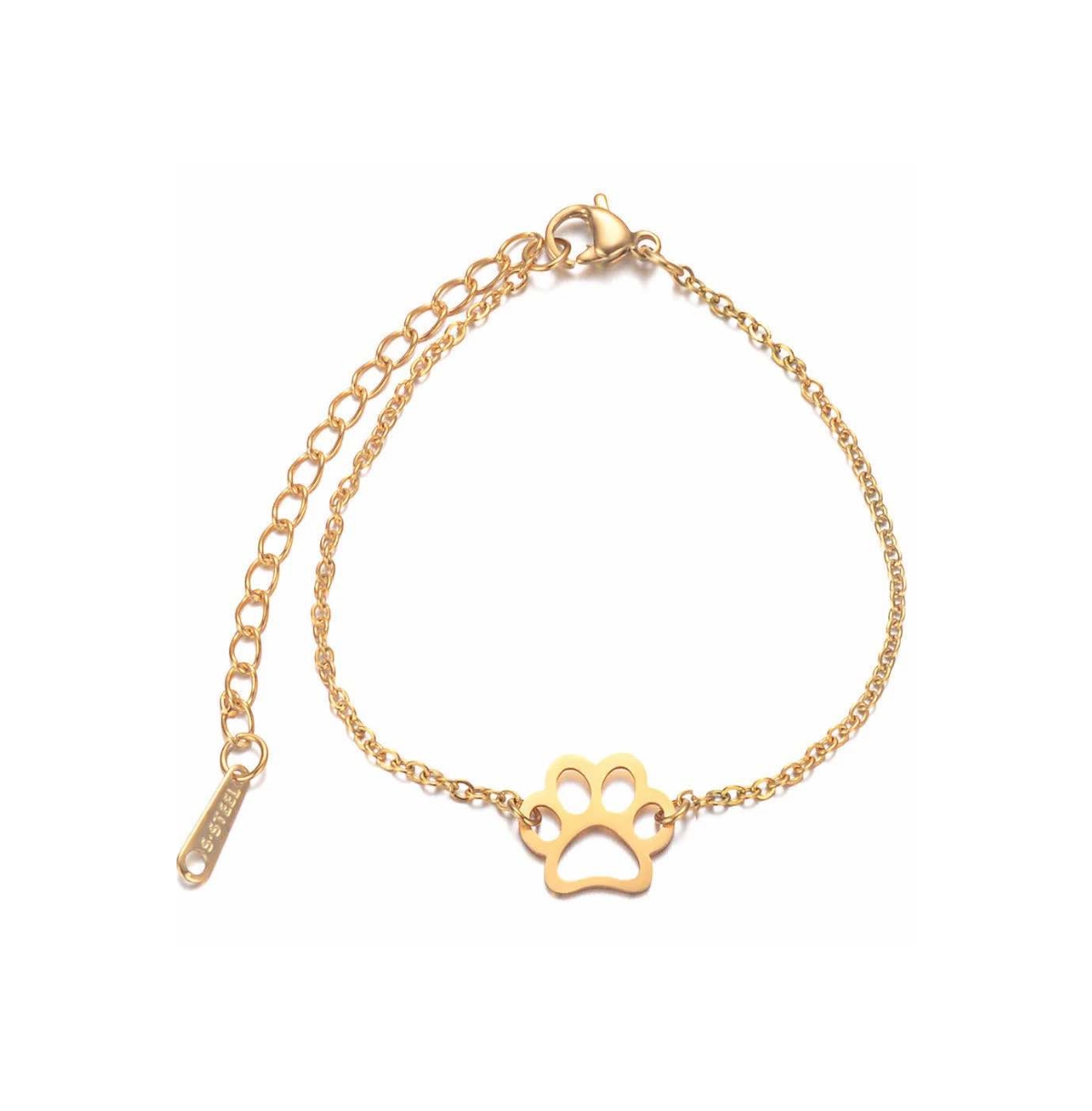 EternalPrint Link Chain Paw Print Charm Bracelet - Silver