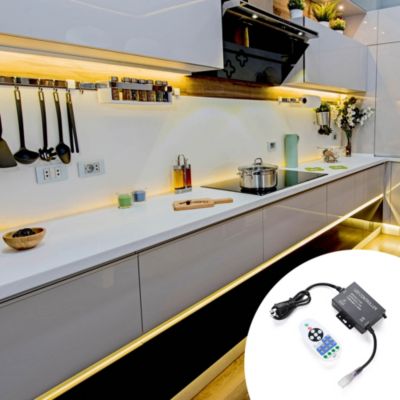 DEL-CON01 2 Pack Controller with 23-Key Remote for Neon Lights Models DEL-D50W, DEL-D100W