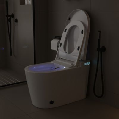 Smart Toilet With 110V High-end pulse | Instant heating | Antibacterial seat | Wireless remote control | Vortex flushing