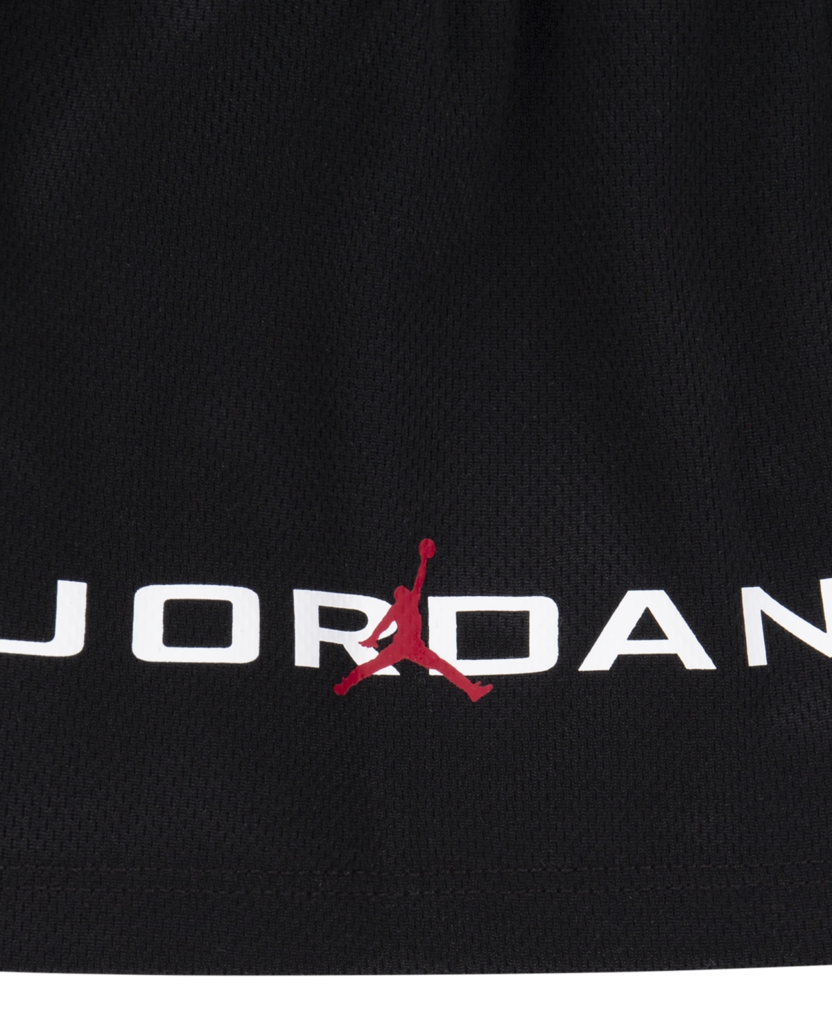 Shop Jordan Toddler Boys 2-piece Mj Baseline Mesh Shorts And T-shirt Set In Black