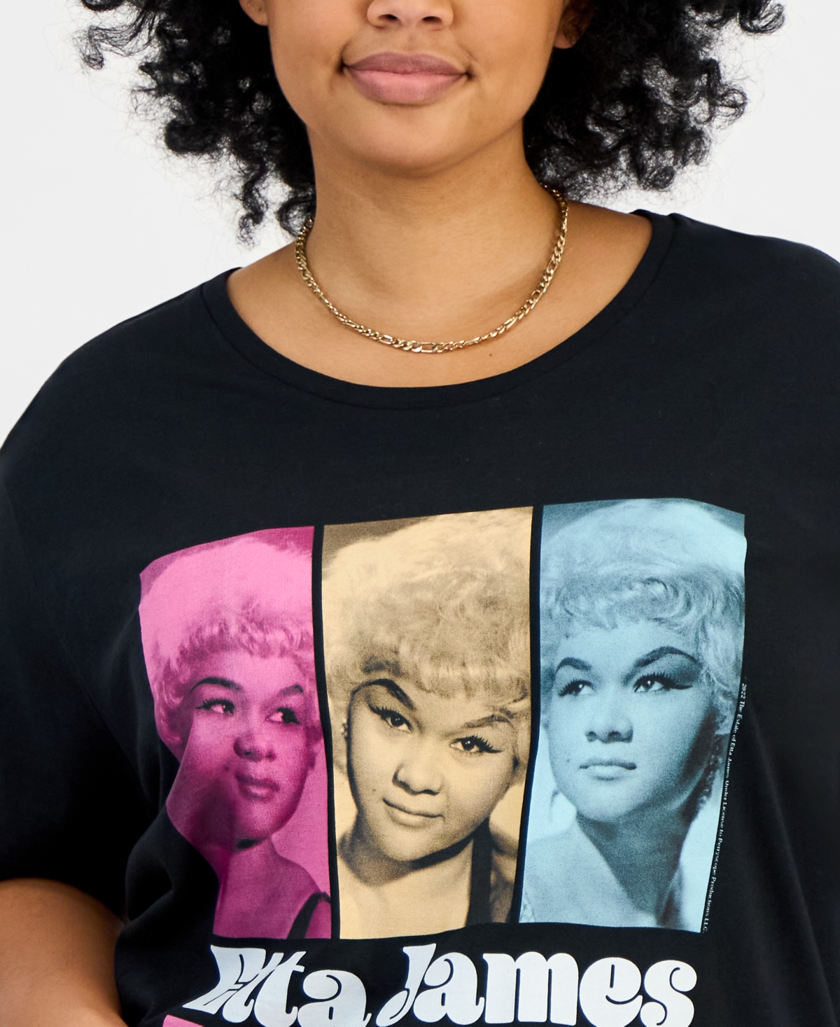 Hybrid Apparel Trendy Plus Size Cotton Etta James Graphic Tee In Black