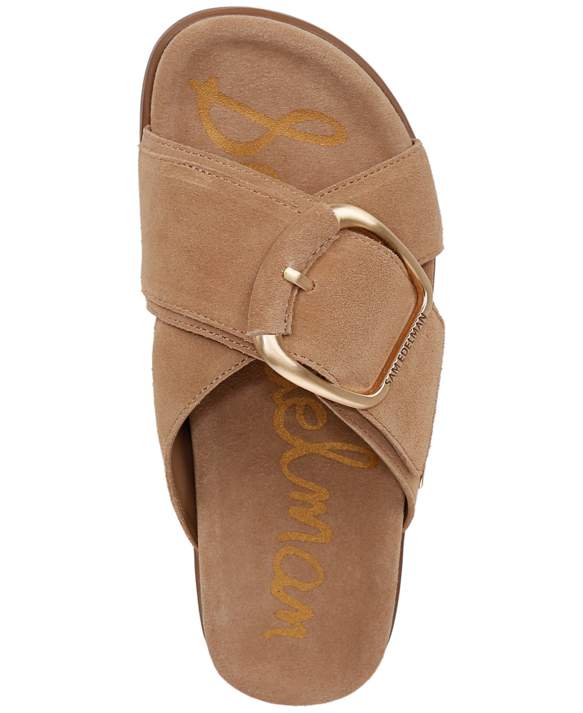 Sam Edelman Darla Buckle Slide Sandal Cyprus Tan Suede In Cyprus Tan Suede Leather
