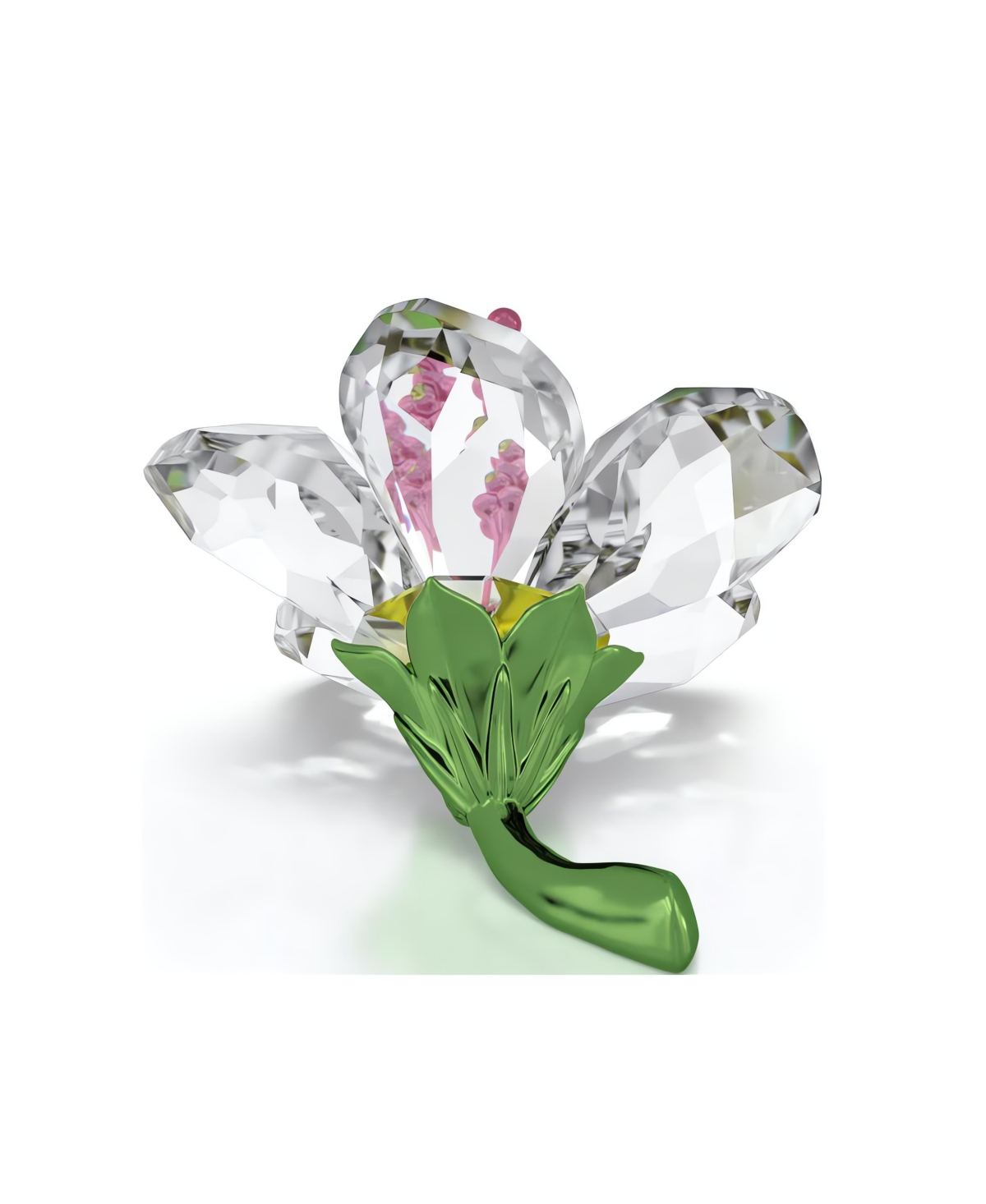 Swarovski Florere Hibiskus In Multi Color