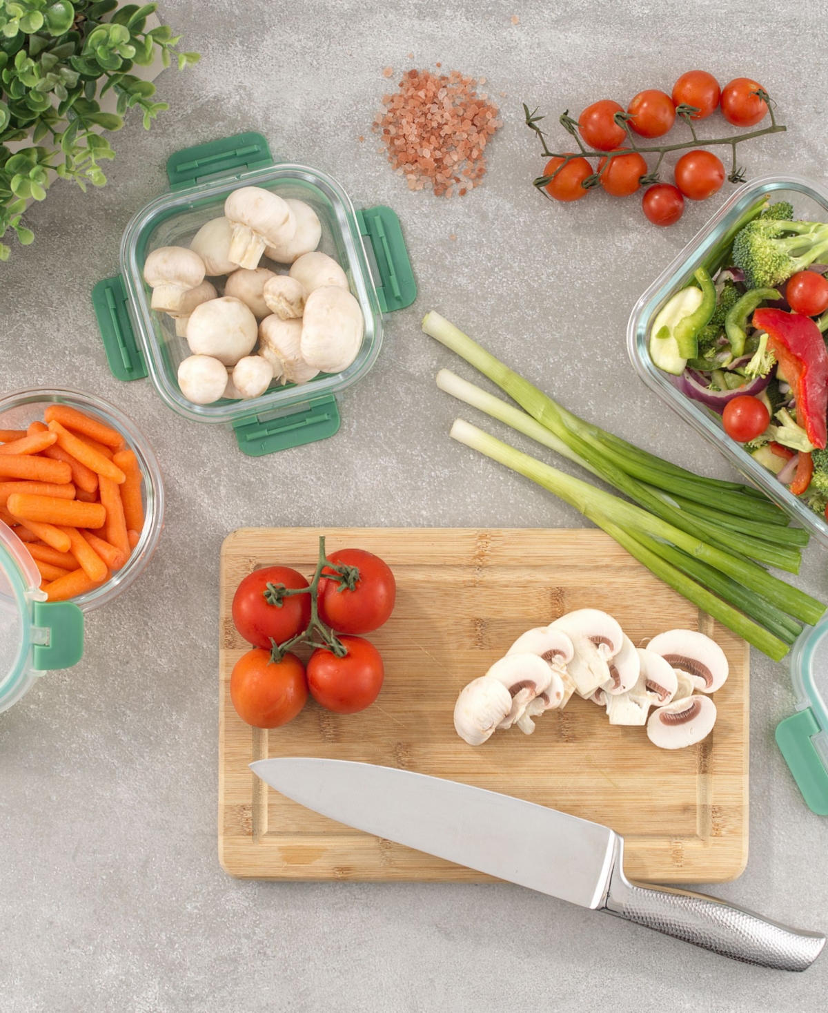 JOYJOLT 24-PIECE FLUTED FOOD STORAGE CONTAINER SET WITH LIDS 