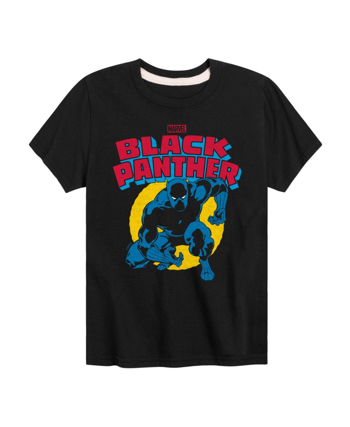 Hybrid Big Boys Black Panther Graphic T-shirt In Black