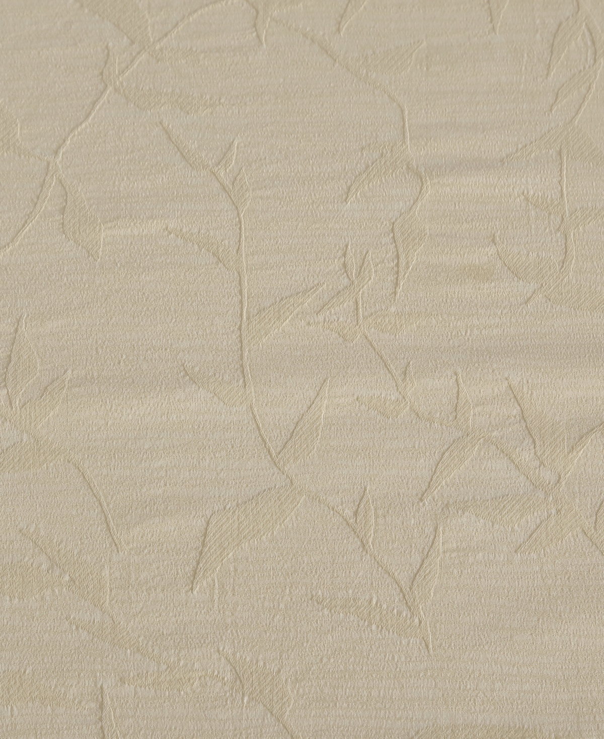 Calvin Klein Branching Leaves Cotton Jacquard 3-pc. Comforter Set, Queen In Cream