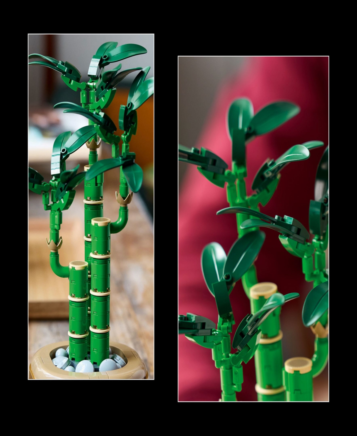 Lego Botanicals Lucky Bamboo Building Set 10344, 325 Pieces In Multi Color