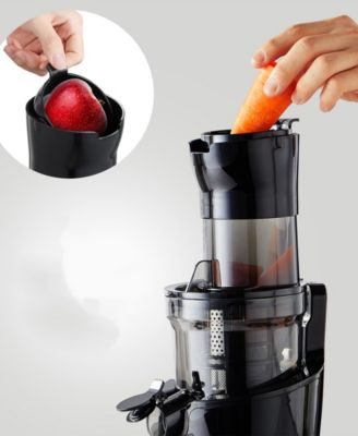 27 oz. Dynamic Masticating Slow Juicer EJX751