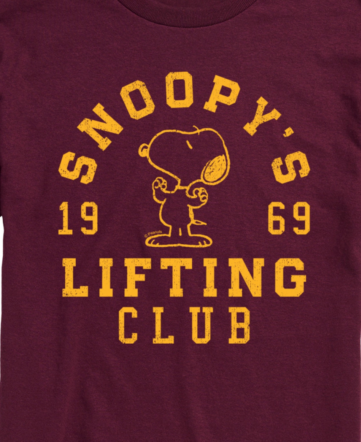 Airwaves Men's Peanuts Snoopy's Lifting Club Short Sleeve T-shirt In Red