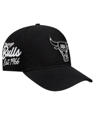 Pro Standard - Men's Black Chicago Bulls Paint the City Pinch Front Snapback Hat