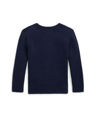Little Boys Polo Bear Cotton Sweater