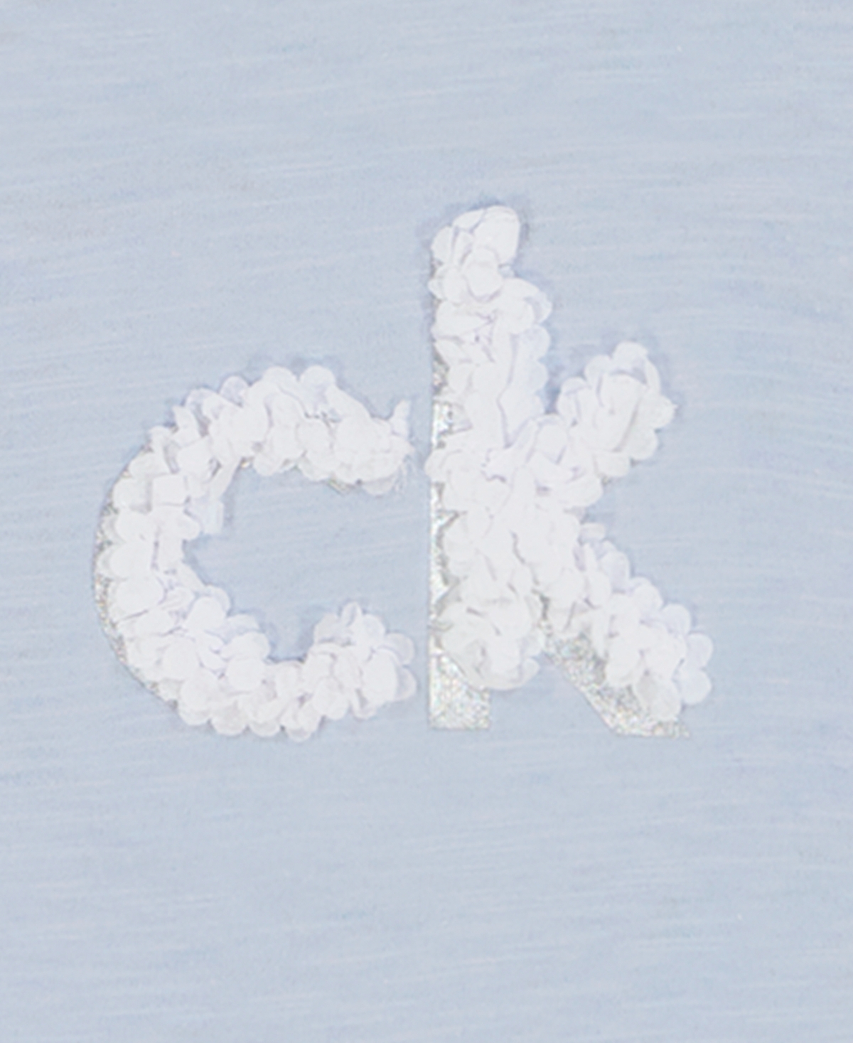 Calvin Klein Baby Girls 2-piece Rosette Logo T-shirt Printed Gauze Skirted Diaper Cover Set In Halogen Blue,white