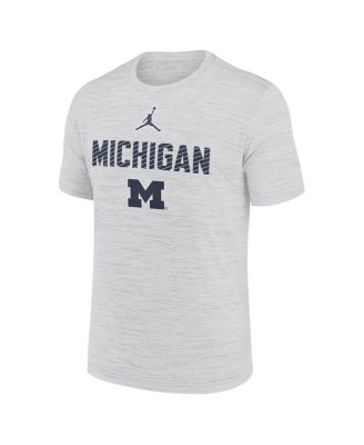 Men's Gray Michigan Wolverines Campus Slant Velocity Performance T-Shirt