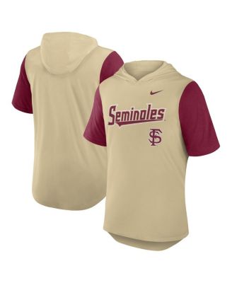 Nike - Men's Gold/Garnet Florida State Seminoles Baseball Script Tri-Blend Performance Hoodie T-Shirt